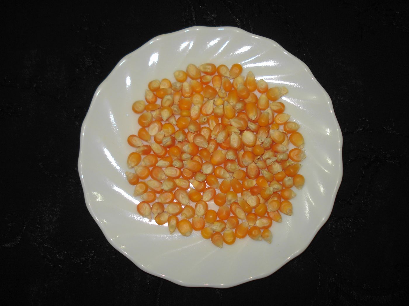 Butiran jagung kuning, bahan dasar ransum ayam petelur