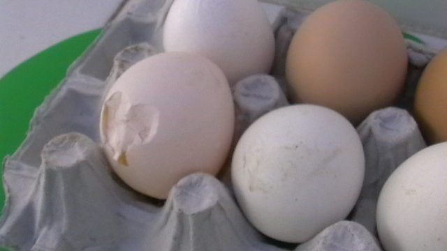 Telur berkerabang tipis dan berubah bentuk saat wabah IB